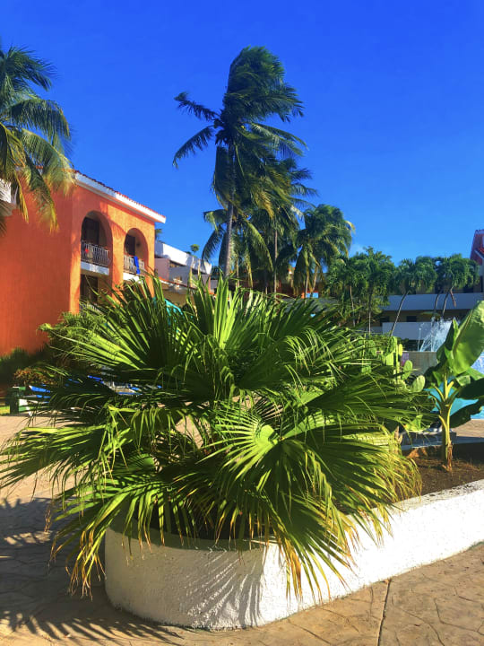 Gartenanlage Hotel Roc Barlovento