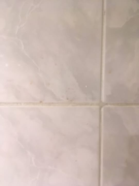 Zimmer Ghazala Gardens