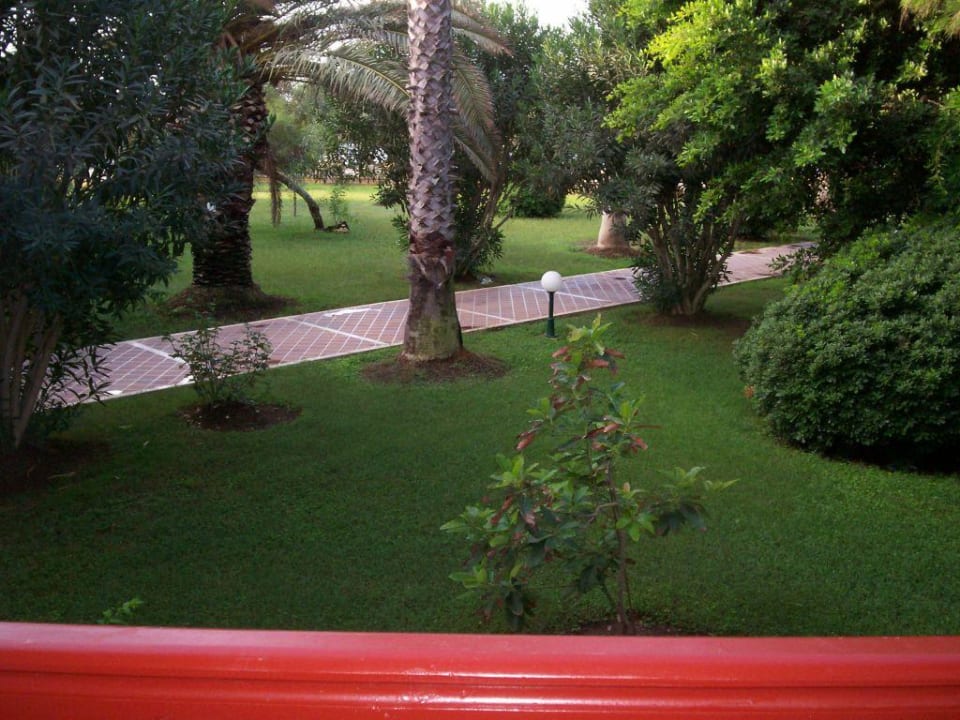 Ausblick Balkon Zimmer 612 Ali Bey Club