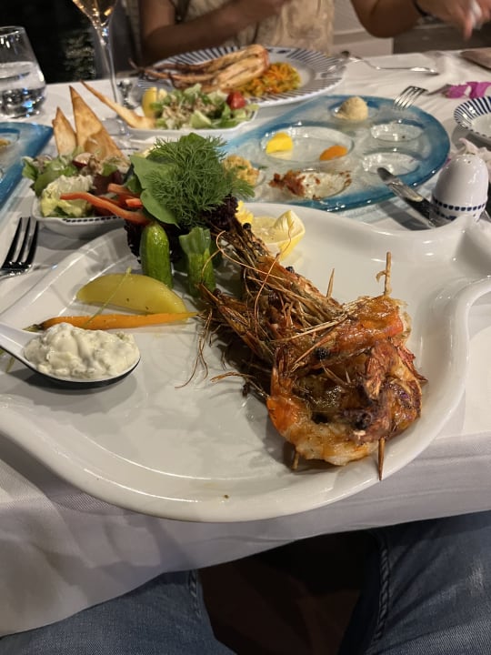Gastro Granada Luxury Okurcalar