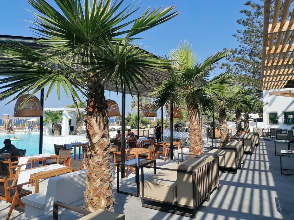 Gastro The Island Hotel