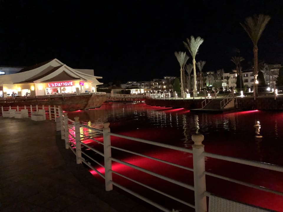 Gastro Pickalbatros Dana Beach Resort - Hurghada