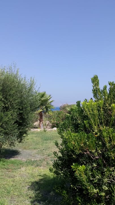 Gartenanlage Achilleas Beach Adults Only