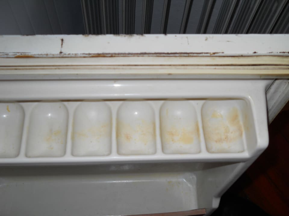 Binnen in de koelkast Apartments Bache