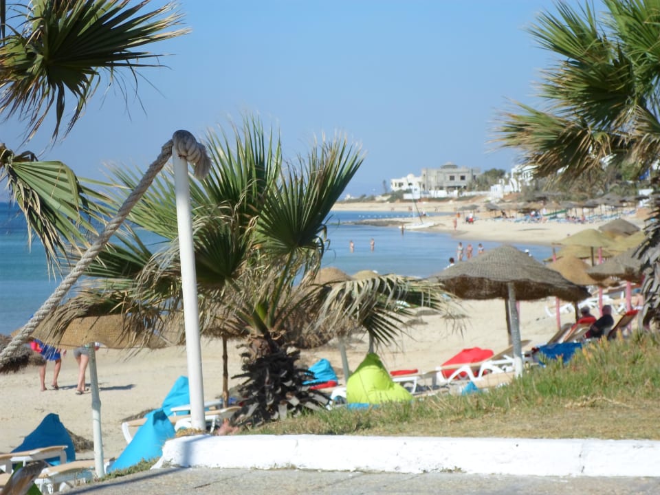 Strand TUI BLUE Palm Beach Hammamet