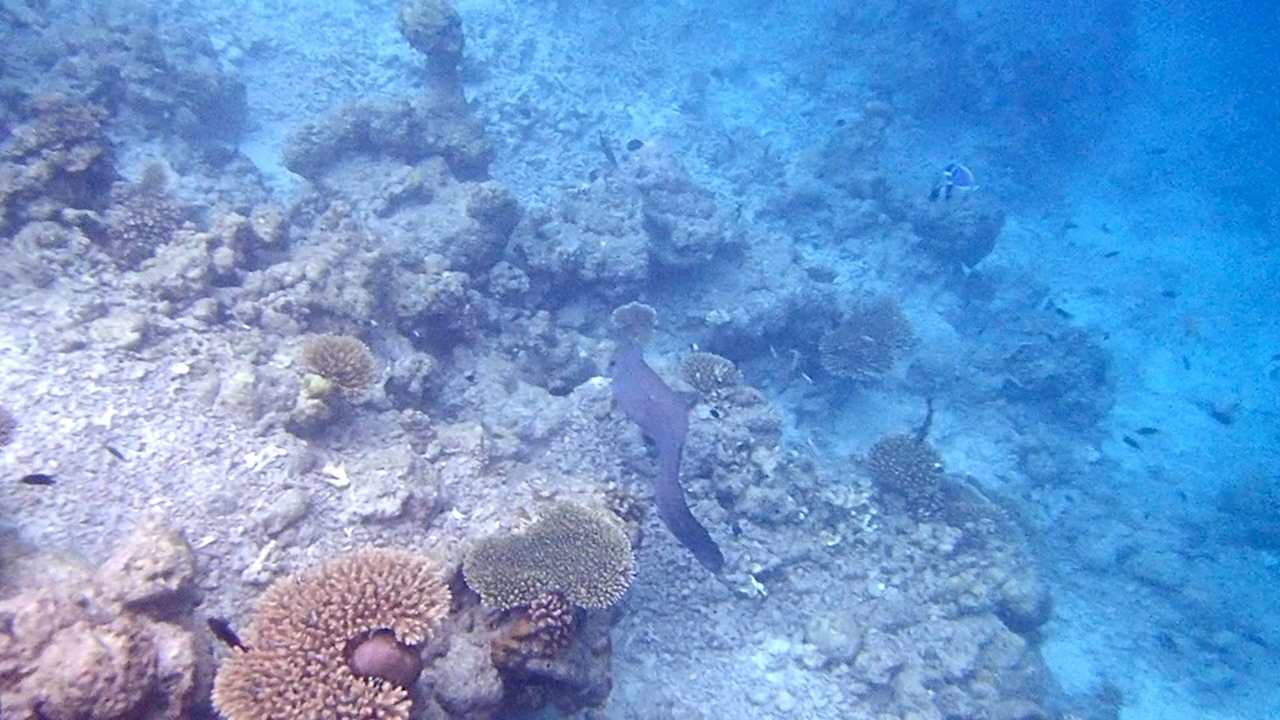 Sonstiges Vilamendhoo Island Resort & Spa