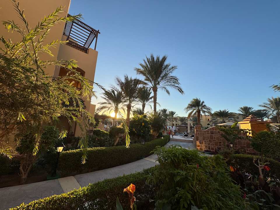 Gartenanlage Steigenberger Coraya Beach - Adults only