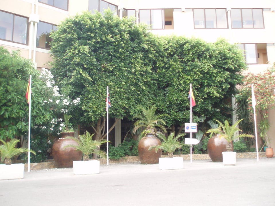 Hotel Auramar Auramar Beach Resort