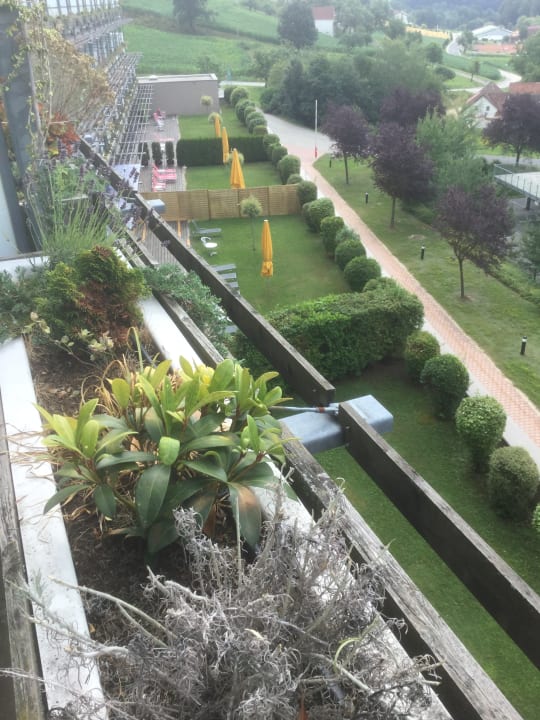 Ausblick Das Sonnreich Thermenhotel Loipersdorf