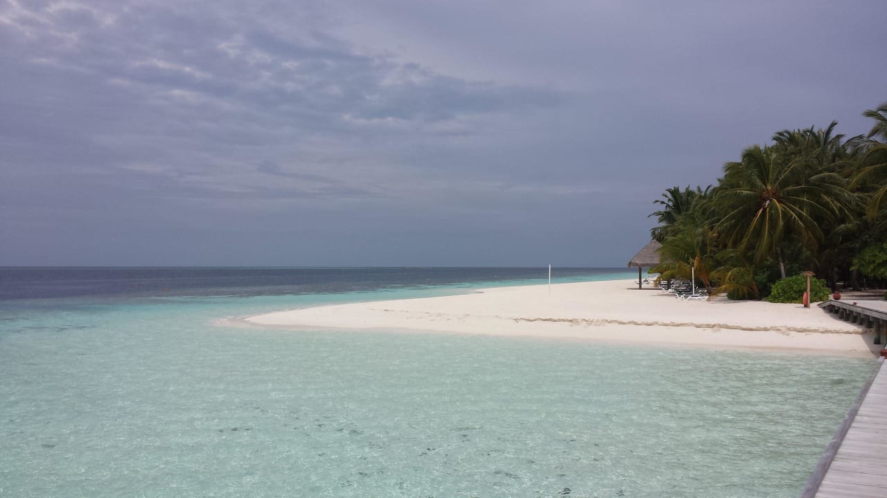 Песчаная коса Vilamendhoo Island Resort & Spa
