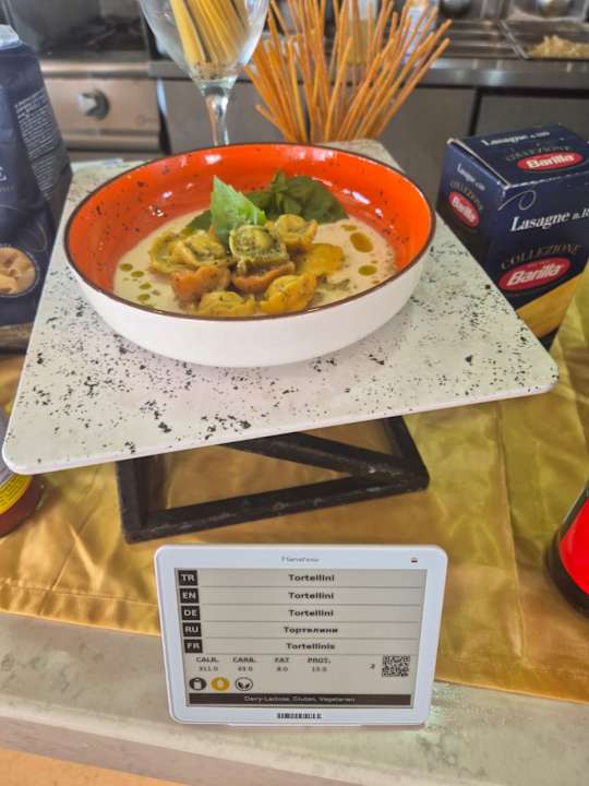 Gastro Seashell Vega