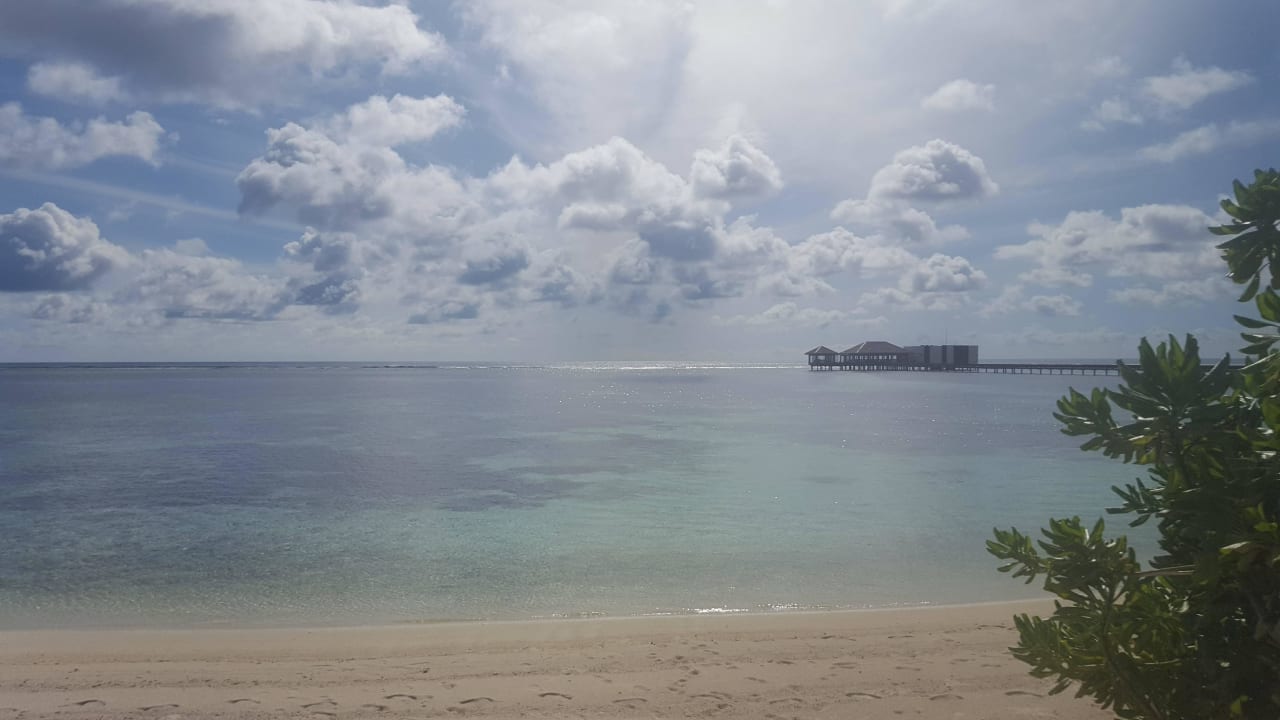 Strand The Residence Maldives