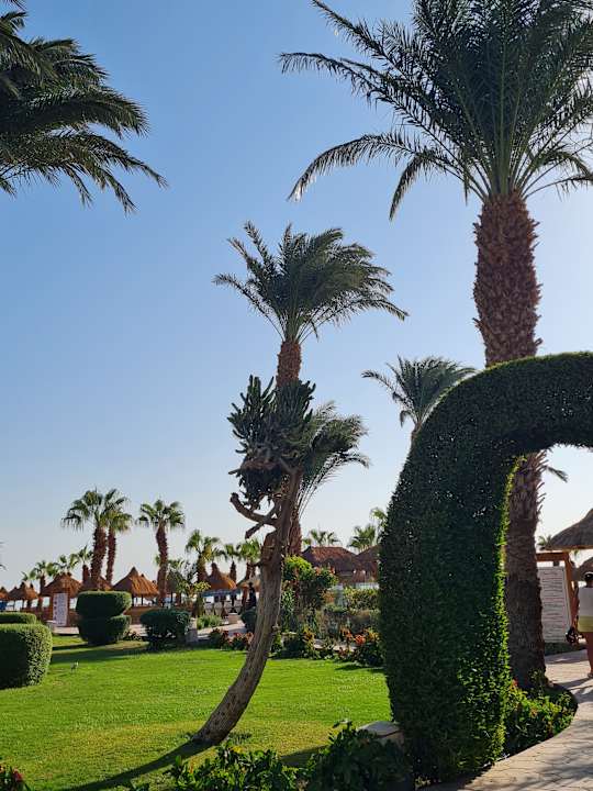 Gartenanlage Lotus Bay Beach Resort