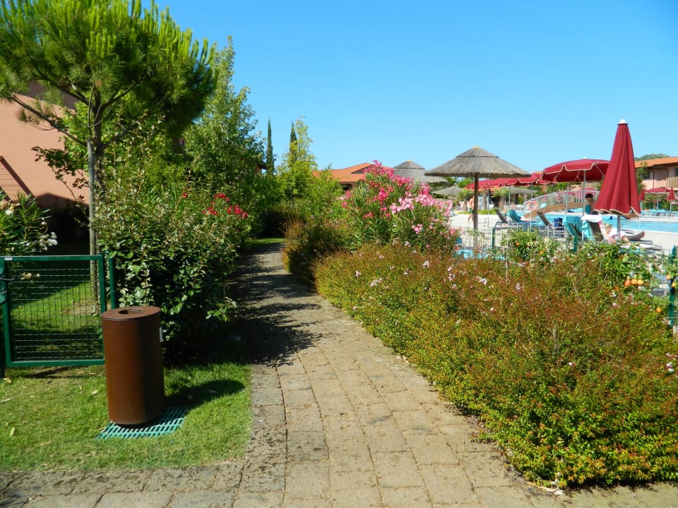 Rundweg um den Pool Green Village Resort - Hotel & Aparthotel