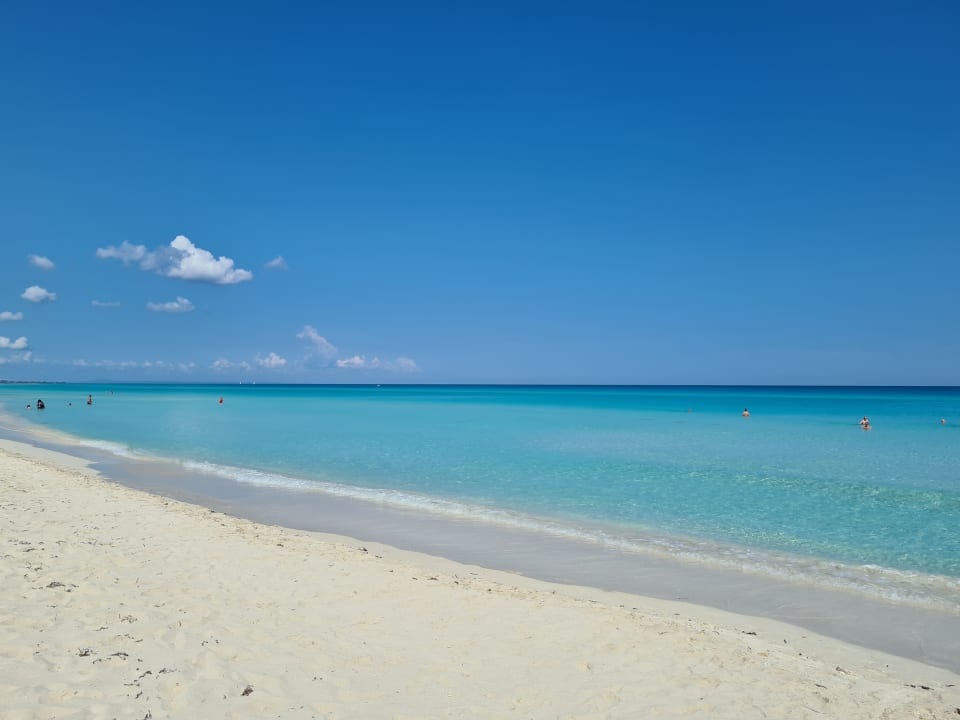 Strand Starfish Cuatro Palmas