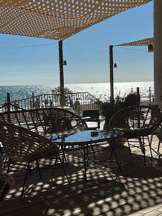 Strand Seashell Vega