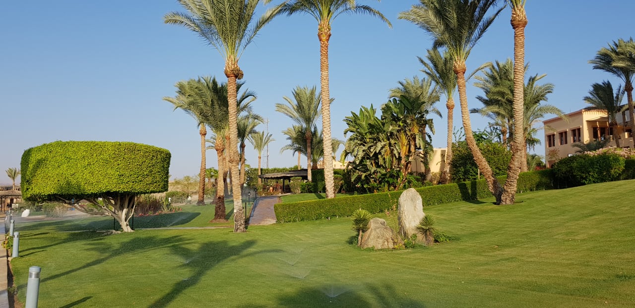 Gartenanlage Steigenberger Coraya Beach - Adults only