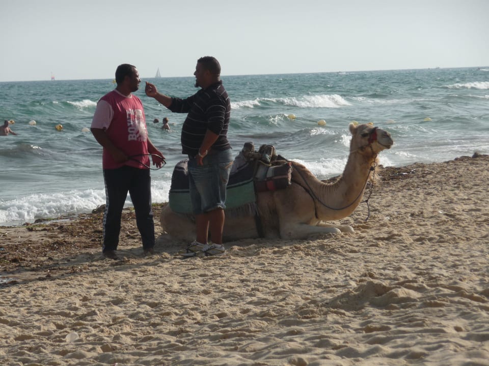 Diese Leute waren immer vorhanden fordereten  Hotel Nesrine