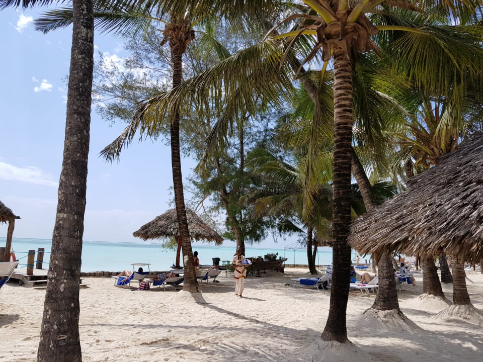 Strand TUI Blue Bahari Zanzibar