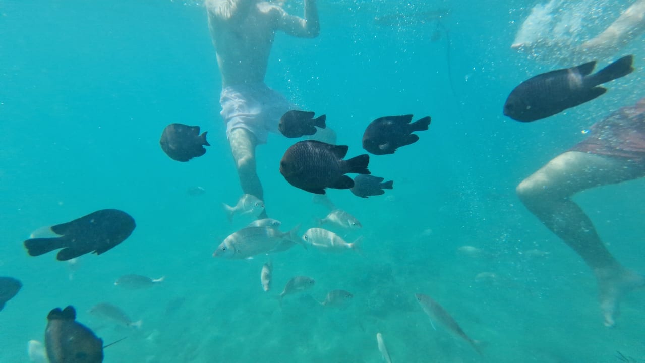 Sonstiges Beach Albatros Resort