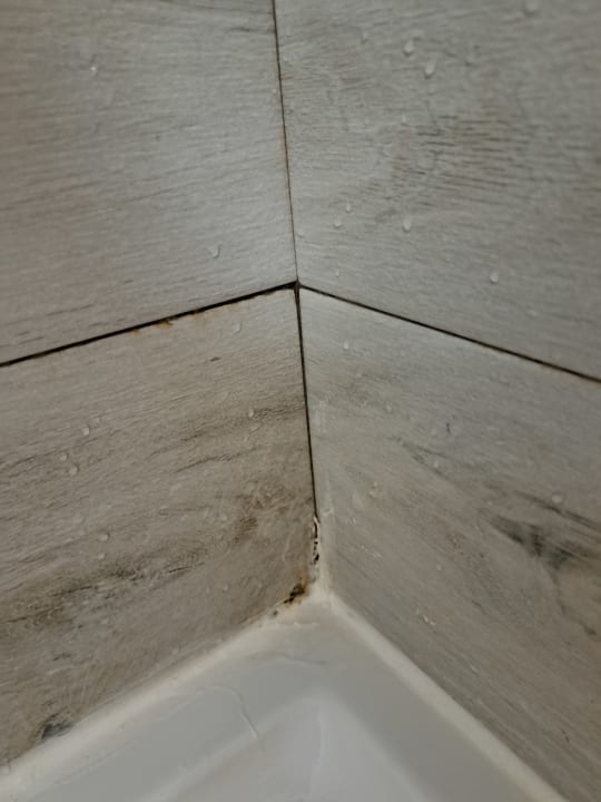 Sonstiges Alcudia Garden Aparthotel