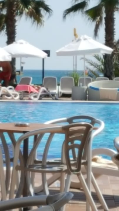 Gastro Paloma Oceana