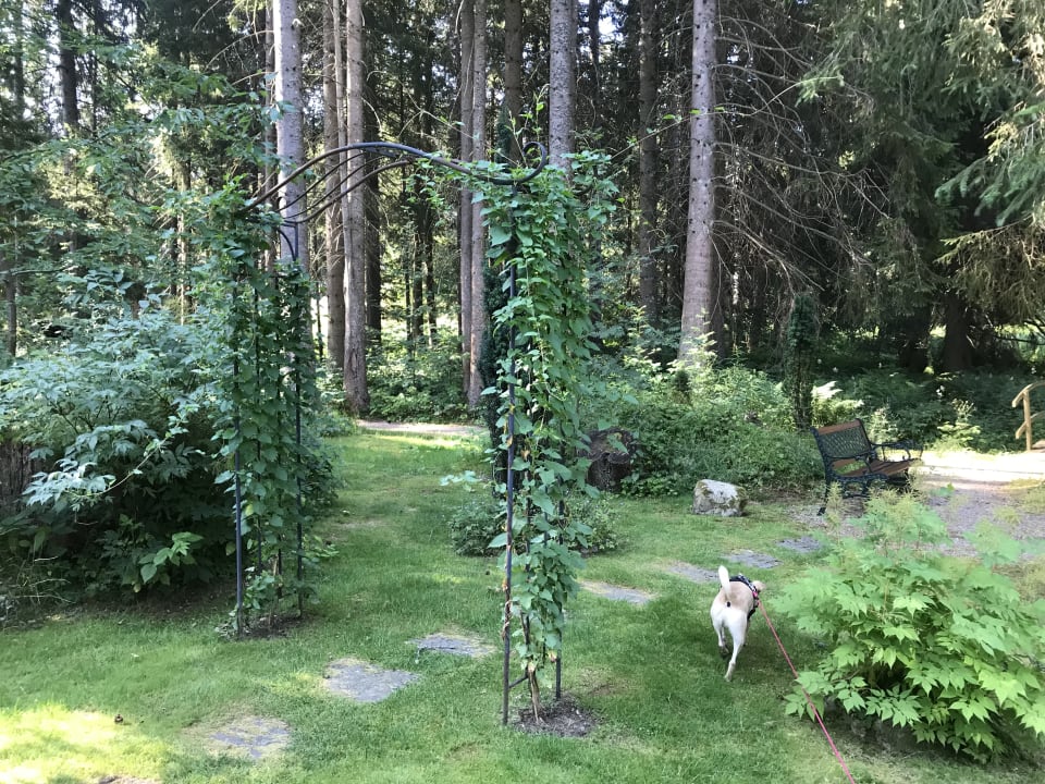 Gartenanlage Parkhotel Adler