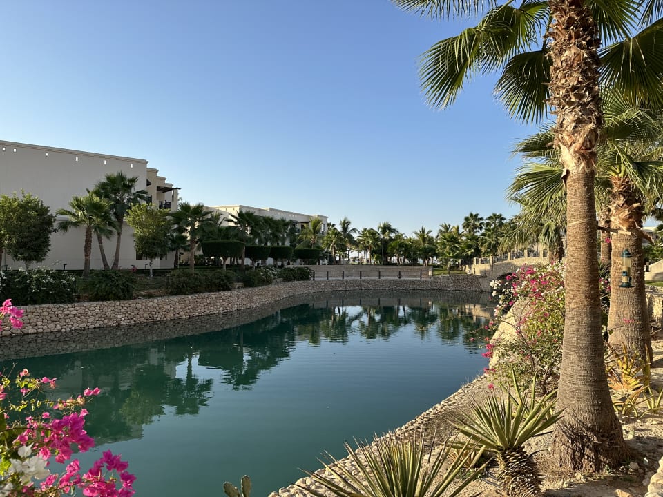 Gartenanlage Salalah Rotana Resort