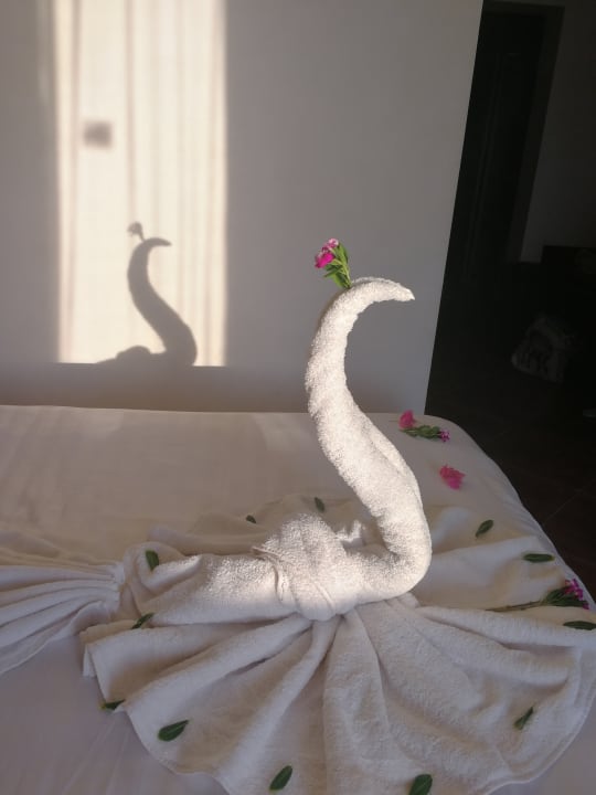 Zimmer Three Corners Sea Beach Resort