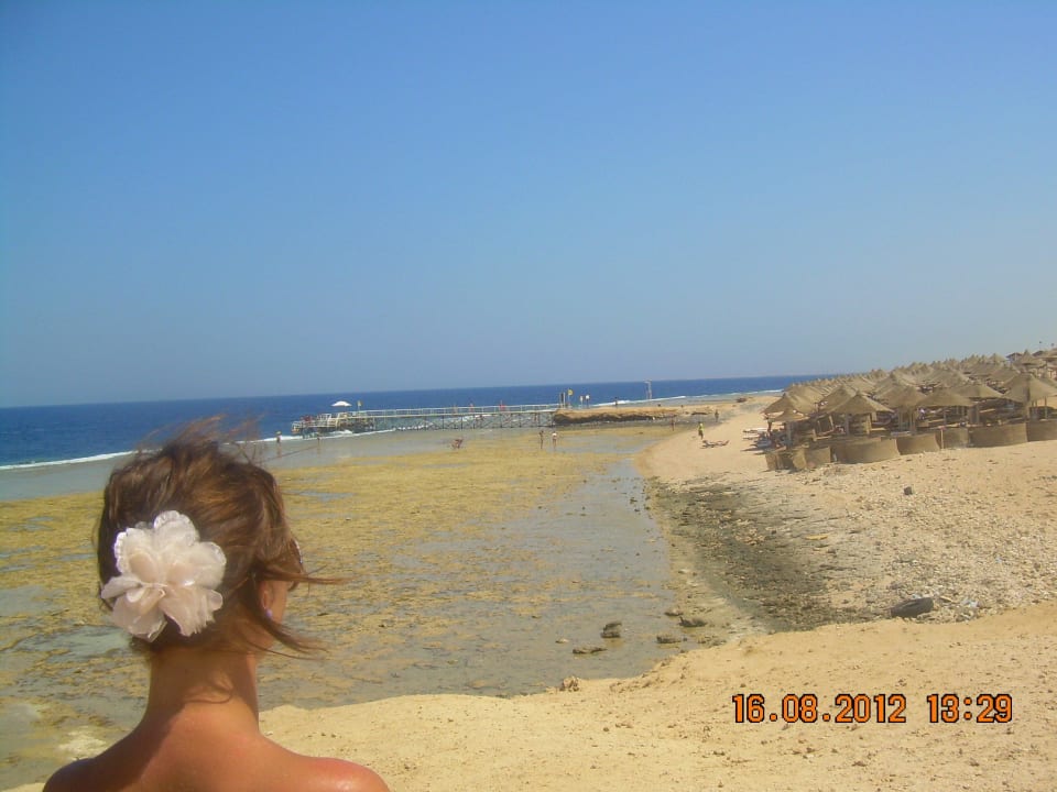 Widok na plaze hotelowa z plazy obok Serenity Alpha Beach