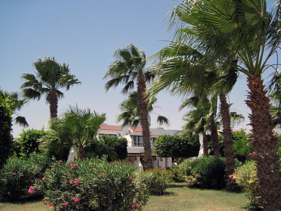 Blick auf unseren Balkon Lotus Bay Beach Resort