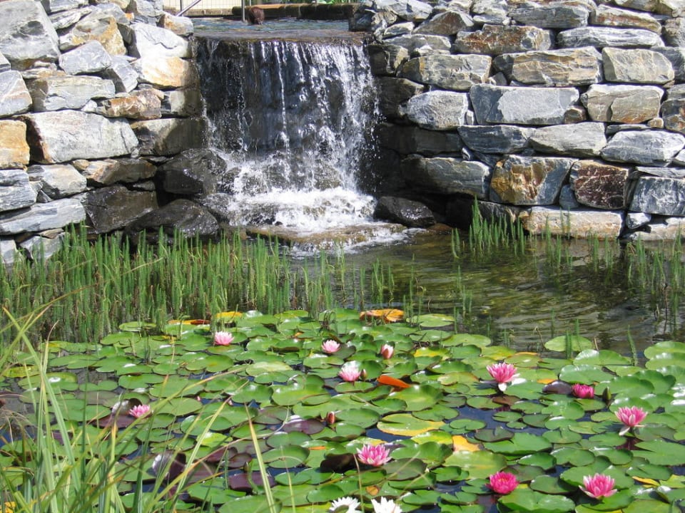 Hoteleigene Thermenoase Heilthermen Resort Bad Waltersdorf