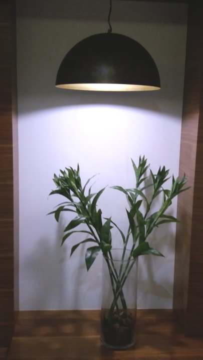 Lobby Hilton Garden Inn Ras Al Khaimah