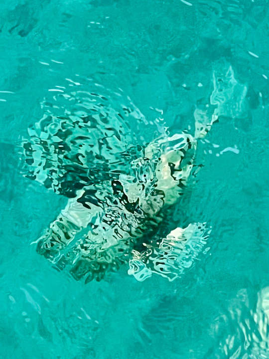 Strand Casa Mare Resort