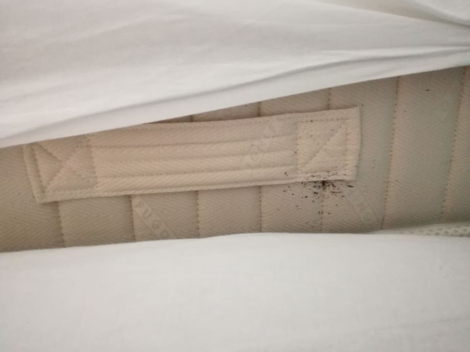 Zimmer Rosapineta Camping Village