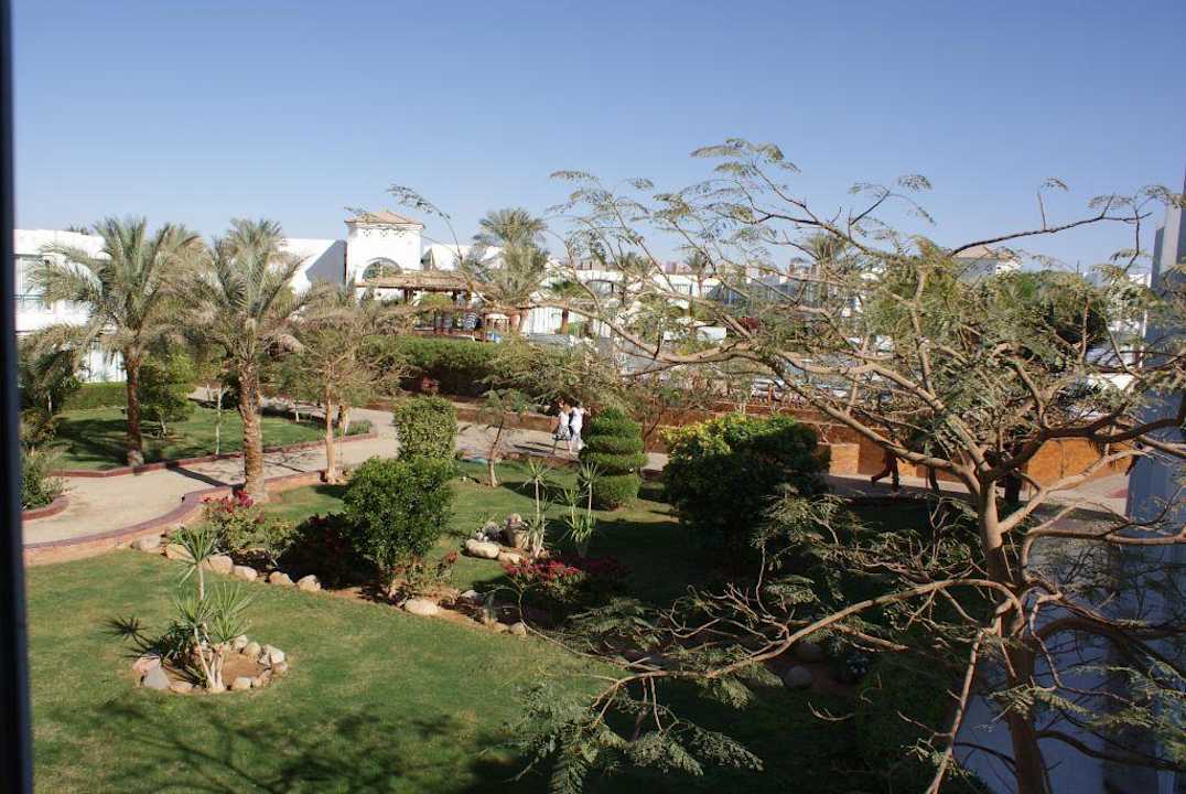 Widok z pokoju Hotel Amarante Garden Palms Resort