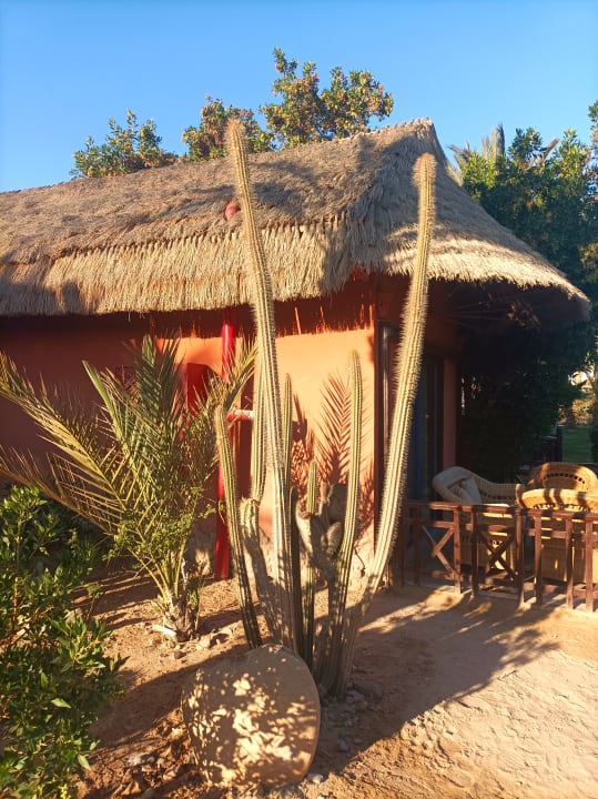 Gartenanlage Panorama Bungalows Resort El Gouna