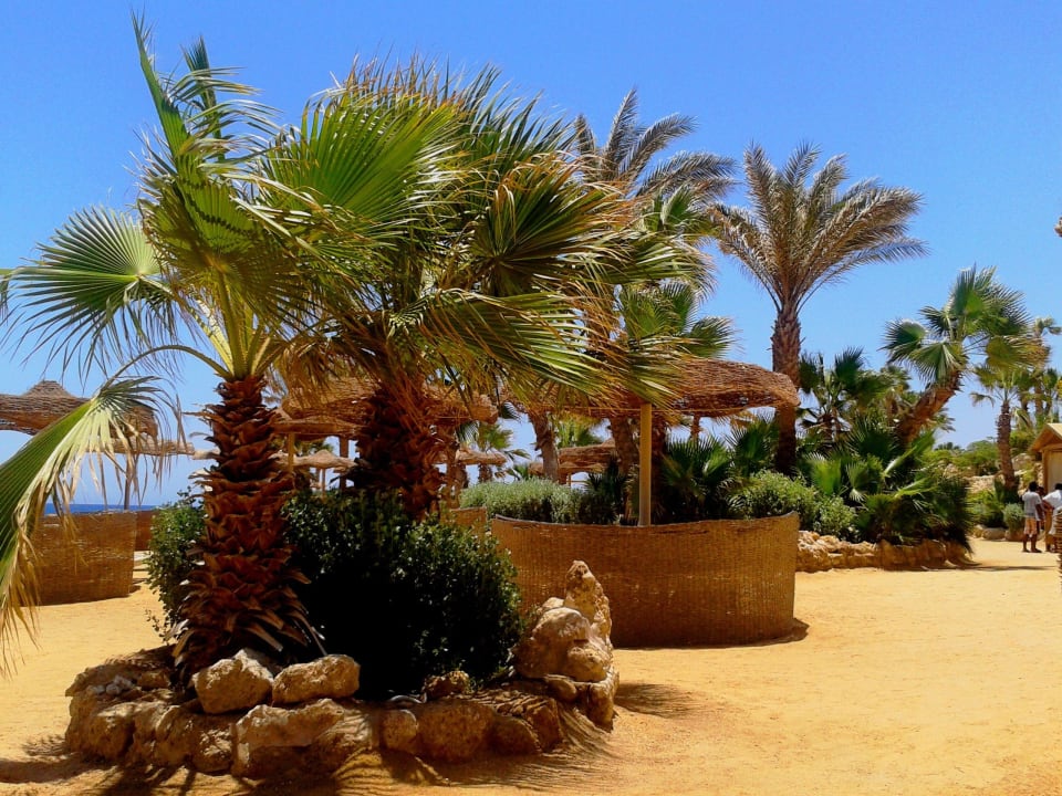 Fast menschenleer Pickalbatros Citadel Resort