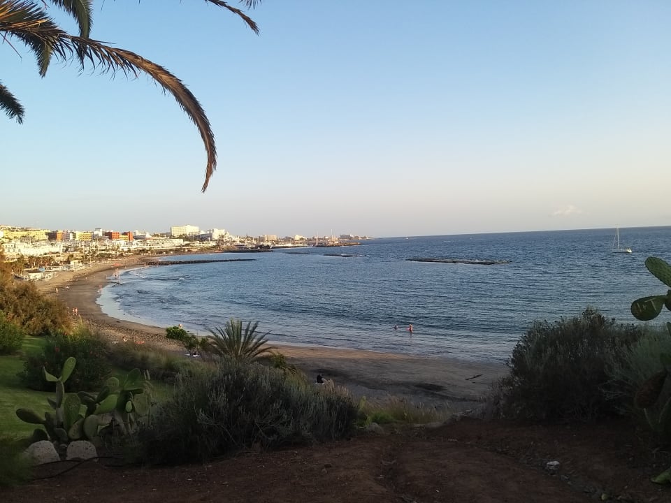 Ausblick Hotel Riu Arecas - Adults only