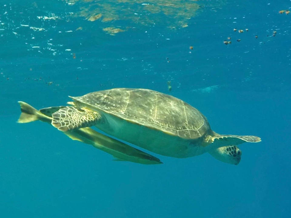 Strand Casa Mare Resort