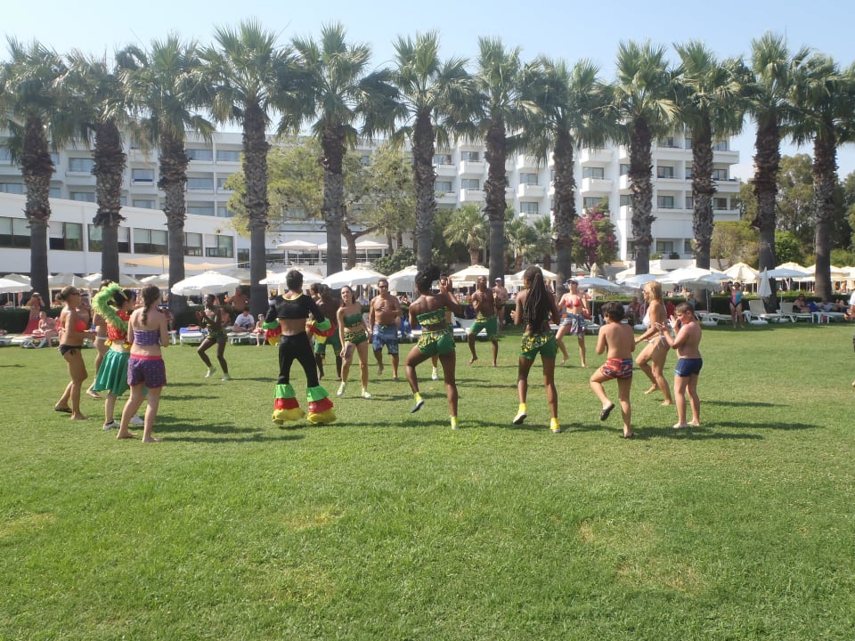 Show w ciągu dnia Asteria Collection Side