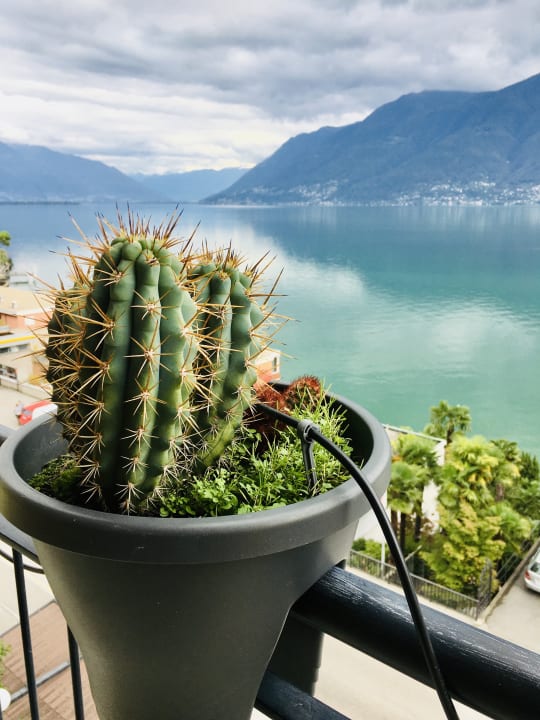 Ausblick Hotel Garni Morettina