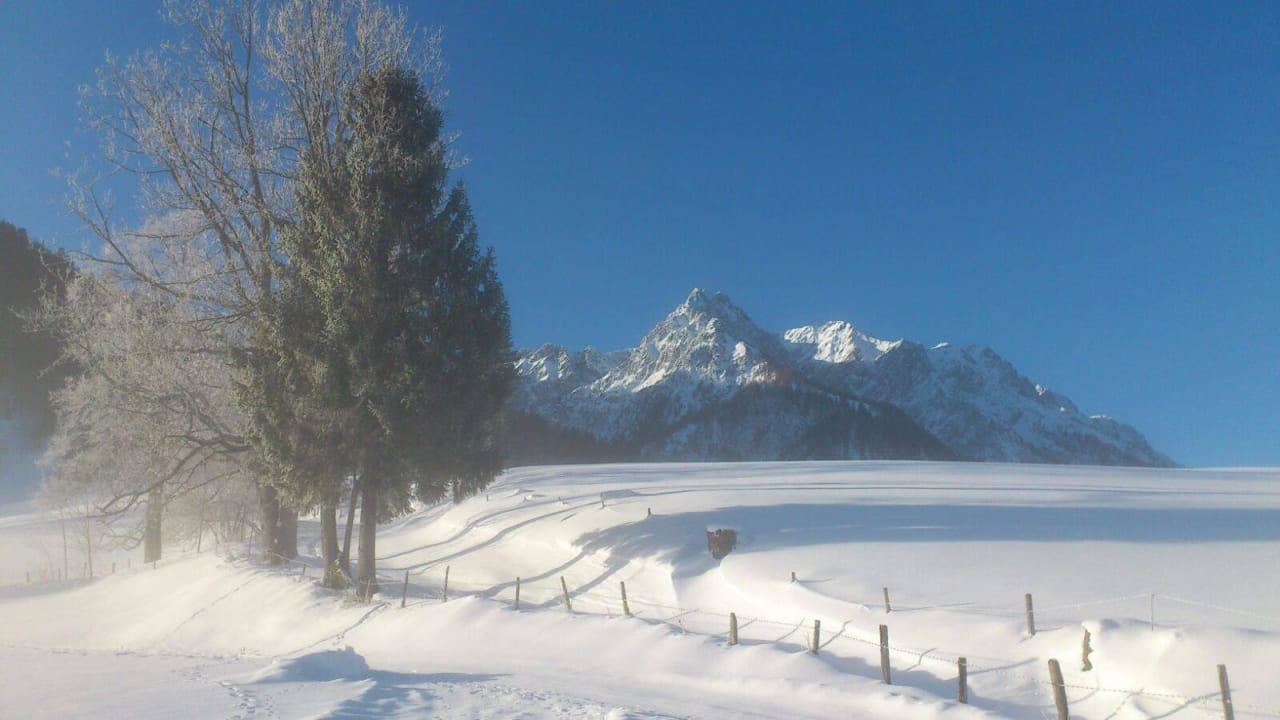 Bergblick im Winter Bauernhof Goferlhof