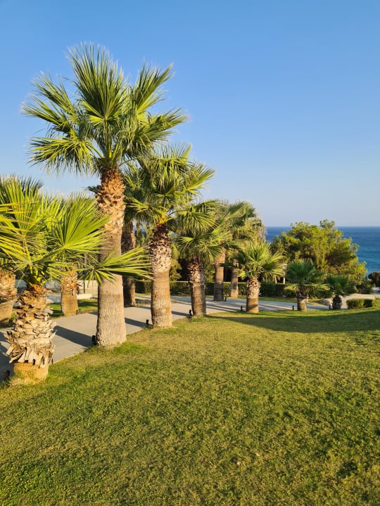 Gartenanlage Rodos Princess Beach Hotel & Spa