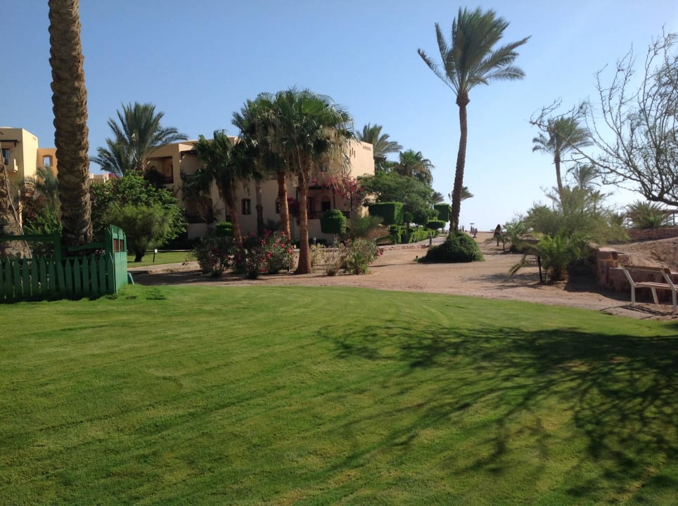 Riffnähe Steigenberger Coraya Beach - Adults only