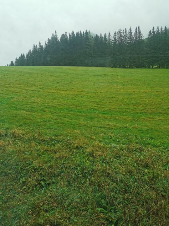 Ausblick Gasthof Draxlerhaus