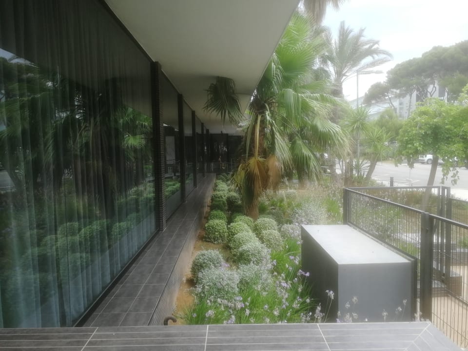 Außenansicht Hotel Riu Festival