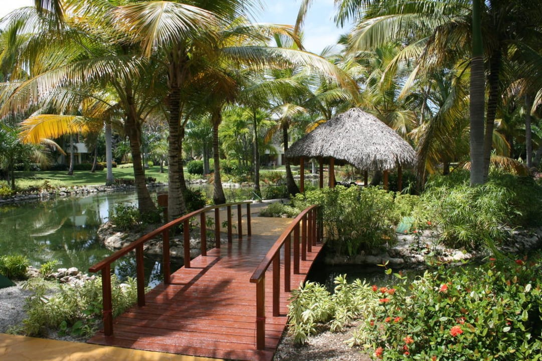 Traumhafte Gartenanlage im normalen Bereich Catalonia Royal Bavaro - Adults only