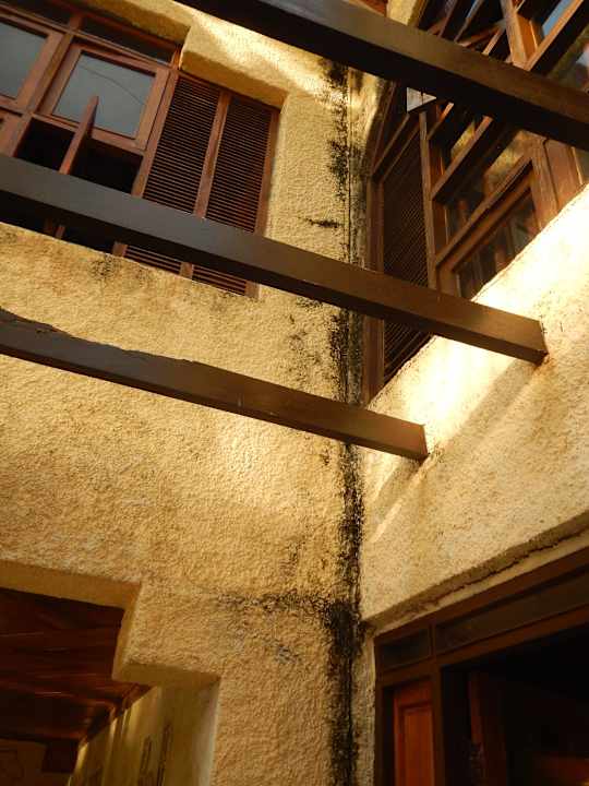 Schimmelbefall bis in den 1 Stock. Hotel Porto Santo