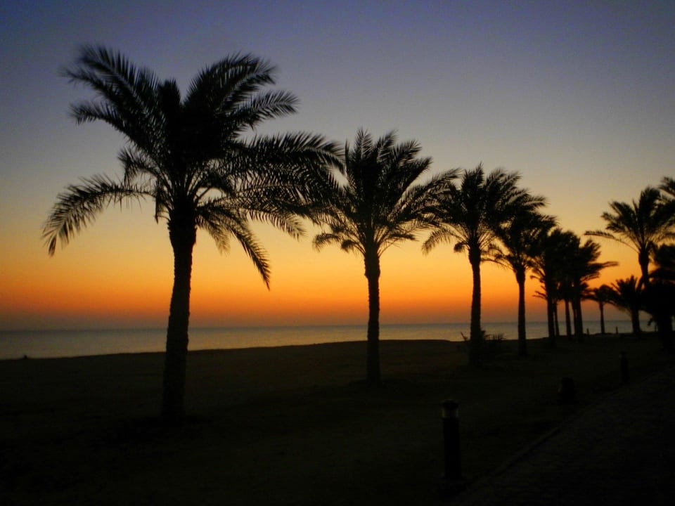 Abendstimmung Steigenberger Coraya Beach - Adults only